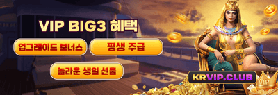 VIP 전용 캐시백 promotion